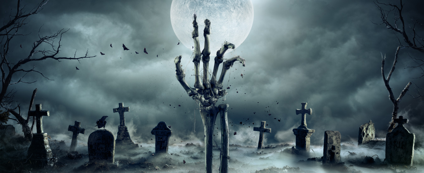 signature experience